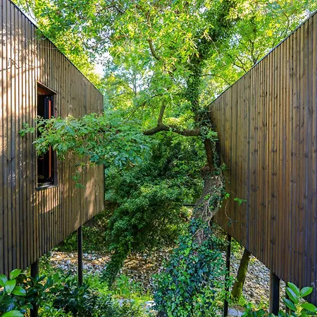 Ośrodek wypoczynkowy Bregu Village Pjezge